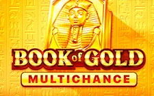 Игровой автомат Book of Gold Multichance